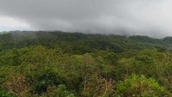 View from viewing tower centre of Siquijor Island Philippines Asia. Cloud and rainforest video