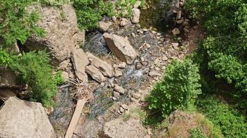 Picturesque stream flowing between large rocks in a forest video