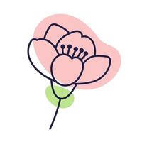Cherry blossom flower. Outline illustration with color spots. Doodle style. Hand drawn cherry flower Isolate on white. Sakura bud. vector