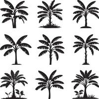 Set of Banana tree silhouettes isolated on a white background vector