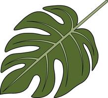 Colorful Monstera leaf vector