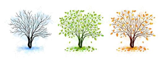 Tree seasons nature background vector