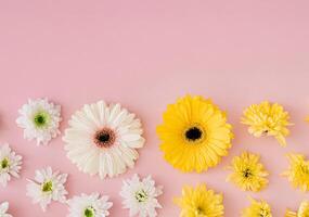Spring and summer flowers on pastel pink background with copy space. Creative trendy flowers aesthetic concept. Flat lay style. Top view banner. photo