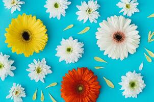 Trendy floral spring and summer pattern made of colorful flowers on light blue background. Creative flowers aesthetic backdrop concept. Nature flat lay style. Top view wallpaper. photo