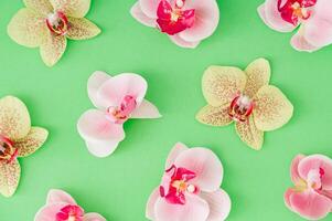 Trendy floral pattern made of beautiful orchid flowers on pastel green background. Minimal creative spring and summer concept. Colorful flowers aesthetic wallpaper. Nature flat lay backdrop. Top view. photo