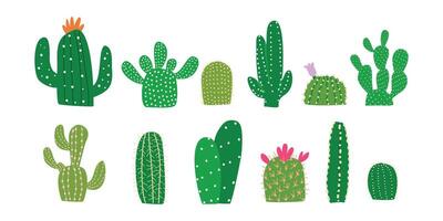 Cactus Cactuses Cacti in Hand-drawn style set vector