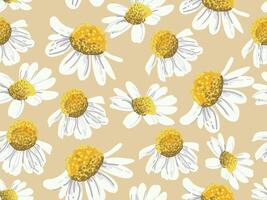 Seamless pattern of white daisies with yellow centers on a beige background vector