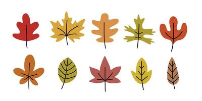 Autumn Leaf in Hand-drawn style set, vector