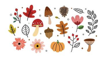 Autumn element collection, elements for design thanksgiving card poster vector