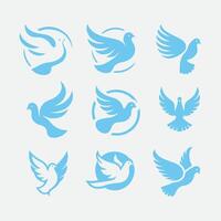 White Feather dove collection logo vector