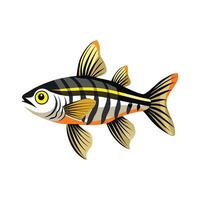 Stylish Illustration of Zebra Danio vector