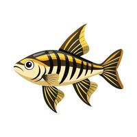 Elegant Artwork of Zebra Danio vector