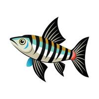Dynamic Artwork of Zebra Danio vector