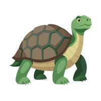 Charming Illustration of Aldabra Tortoise vector