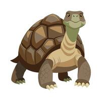 Majestic Design of Aldabra Giant Tortoise vector