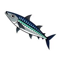 Charming Artwork of Atlantic Mackerel Fish vector