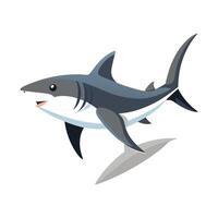 Vivid Design of Bala Shark vector