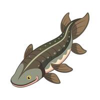 Elegant Design of Australian Lungfish vector
