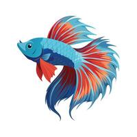 Charming Art of Betta Splendens Fish vector