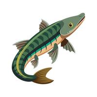 Dynamic Artwork of Bichir Fish vector