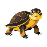 Stylish Design of Blandings Turtle vector
