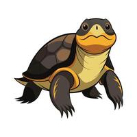 Charming Artwork of Blandings Turtle vector