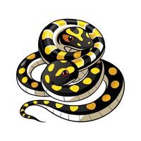Charming Illustration of Carpet Python vector