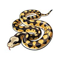 Elegant Artwork of Carpet Python vector