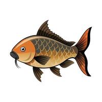 Elegant Artwork of Common Carp vector