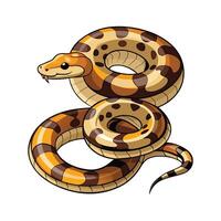 Stylish Illustration of Cuban Boa vector