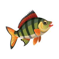 Charming Design of European Perch vector