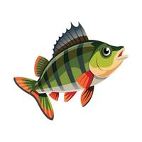 Dynamic Artwork of European Perch vector