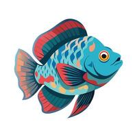 Dynamic Artwork of Flowerhorn Cichlid vector