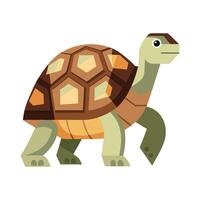 Charming Design of Galapagos Tortoise vector