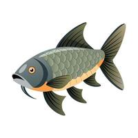 Charming Design of Grass Carp vector