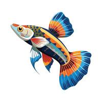 Stylish Illustration of Guppy vector