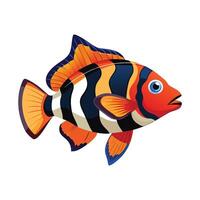 Stylish Illustration of Harlequin Tuskfish vector