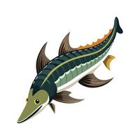 Charming Design of Lake Sturgeon vector
