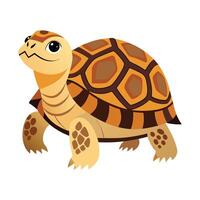 Charming Design of Leopard Tortoise vector
