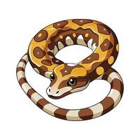 Charming Design of Malagasy Ground Boa vector