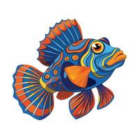 Elegant Artwork of Mandarinfish vector