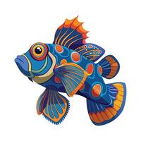 Dynamic Artwork of Mandarinfish vector