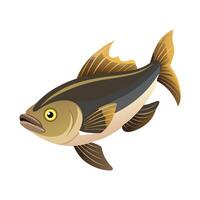 Dynamic Artwork of Pacific Halibut vector
