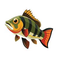 Dynamic Artwork of Peacock Bass vector