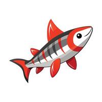 Dynamic Artwork of Redtail Sharkminnow vector