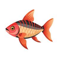 Charming Design of Rosy Barb vector