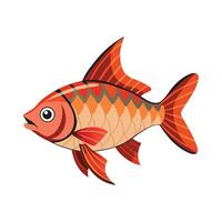 Dynamic Artwork of Rosy Barb vector