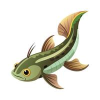 Charming Design of Siamese Algae Eater vector