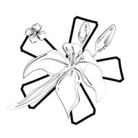A flower is drawn in black and white on a white background vector