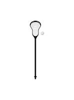 A lacrosse stick and ball on a white background vector